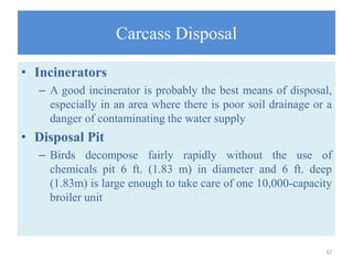 BROILER MANAGEMENT | PPTX