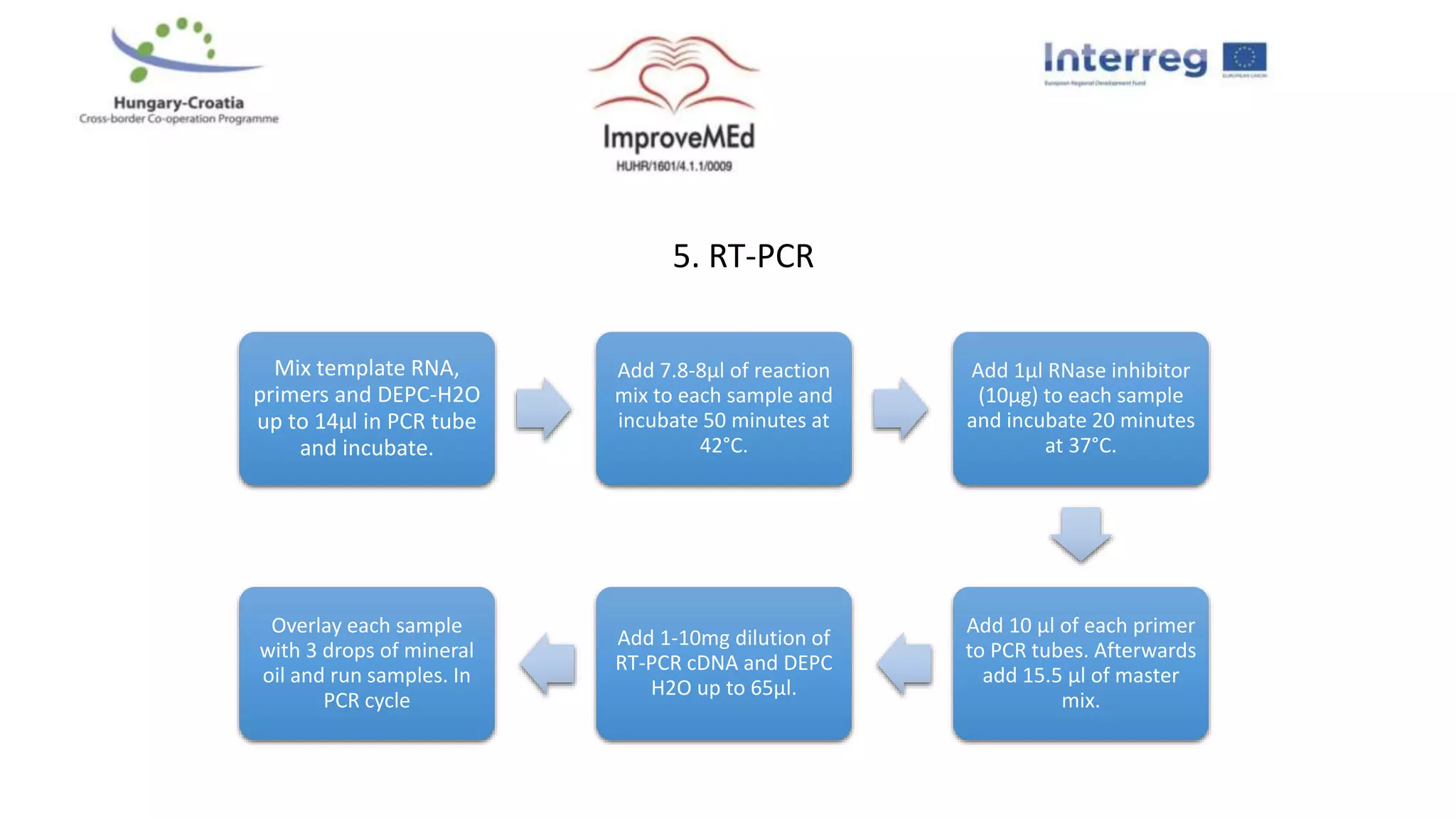 In vitro models of hepatotoxicity | PPTX