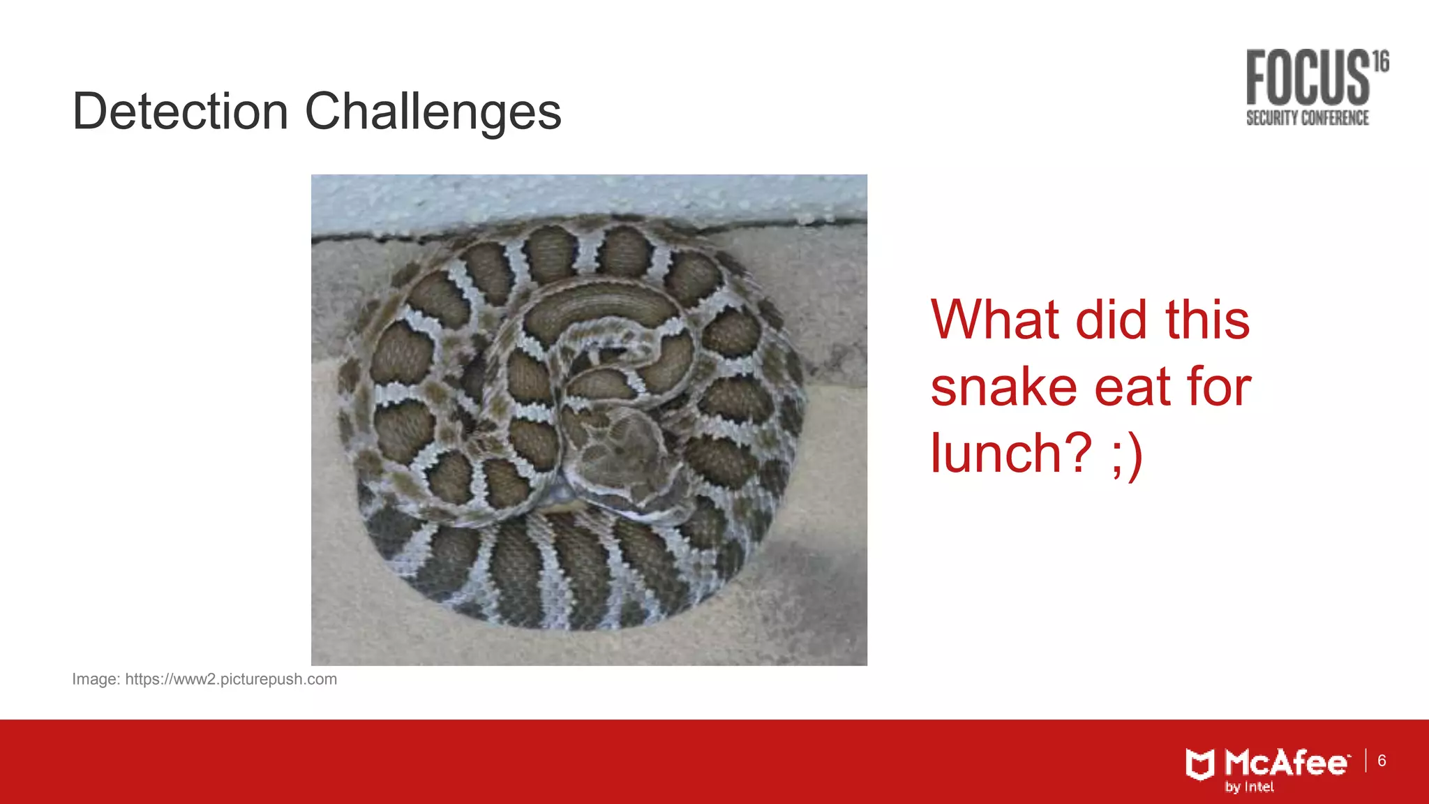 6
Detection Challenges
Image: https://www2.picturepush.com
What did this
snake eat for
lunch? ;)
 