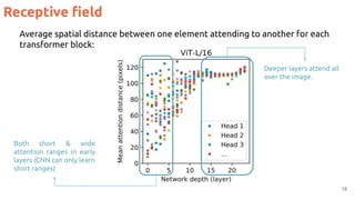 Receptive ﬁeld
19
Average spatial distance between one element attending to another for each
transformer block:
Both short & wide
attention ranges in early
layers (CNN can only learn
short ranges)
Deeper layers attend all
over the image.
 