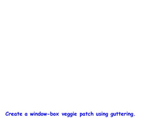 Create a window-box veggie patch using guttering.
 
