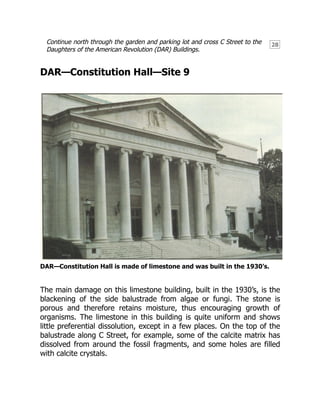 28
Continue north through the garden and parking lot and cross C Street to the
Daughters of the American Revolution (DAR) Buildings.
DAR—Constitution Hall—Site 9
DAR—Constitution Hall is made of limestone and was built in the 1930’s.
The main damage on this limestone building, built in the 1930’s, is the
blackening of the side balustrade from algae or fungi. The stone is
porous and therefore retains moisture, thus encouraging growth of
organisms. The limestone in this building is quite uniform and shows
little preferential dissolution, except in a few places. On the top of the
balustrade along C Street, for example, some of the calcite matrix has
dissolved from around the fossil fragments, and some holes are filled
with calcite crystals.
 