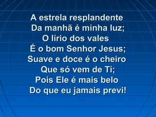 A estrela resplandenteA estrela resplandente
Da manhã é minha luz;Da manhã é minha luz;
O lírio dos valesO lírio dos vales
É o bom Senhor Jesus;É o bom Senhor Jesus;
Suave e doce é o cheiroSuave e doce é o cheiro
Que só vem de Ti;Que só vem de Ti;
Pois Ele é mais beloPois Ele é mais belo
Do que eu jamais previ!Do que eu jamais previ!
 