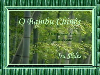 O Bambu Chinês A lição do bambu chinês procura-se o autor Isa Slides 
