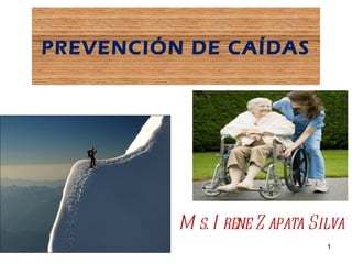PREVENCIÓN DE CAÍDAS




          M s. I rene Z apata Silva
                                1
 