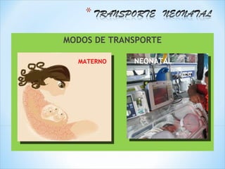 MODOS DE TRANSPORTE

  MATERNO    NEONATAL
 