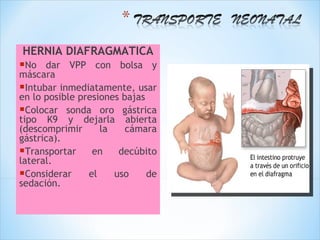 HERNIA DIAFRAGMÁTICA
No   dar VPP con bolsa y
máscara
Intubar inmediatamente, usar
en lo posible presiones bajas
Colocar sonda oro gástrica
tipo K9 y dejarla abierta
(descomprimir      la    cámara
gástrica).
Transportar en decúbito
lateral.
Considerar el uso de
sedación.
 