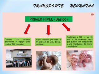 TRANSPORTE                      NEONATAL


                           PRIMER NIVEL (Básico)



                                                            Estabilizan a RN < de 35
Cuentan      con    personal   Brinda cuidado pós-natal a   sem. o RN enfermos hasta
entrenado y equipo para        RN entre 35-37 sem. de EG.   que puedan ser desplazados
realizar RCP neonatal.         estables.                    a una institución de mayor
                                                            complejidad.
 