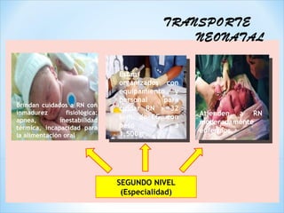 TRANSPORTE
                                               NEONATAL

                                Están
                                organizados con
                                equipamiento y
                                personal    para
Brindan cuidados a RN con
                                cuidar RN > 32
inmadurez        fisiológica:                      Atienden a RN
apnea,         inestabilidad
                                sem. de EG, con
                                peso     >     a   moderadamente
térmica, incapacidad para                          enfermos.
la alimentación oral            1,500gr.




                                SEGUNDO NIVEL
                                 (Especialidad)
 