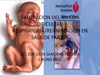 VALORACION DEL RN CON
         DIFICULTAD
RESPIRATORIA/REANIMACION EN
       SALA DE PARTOS

  LIC. ESP. UCIN SANDRA VICTORIA
             CHUNG RIOS
 