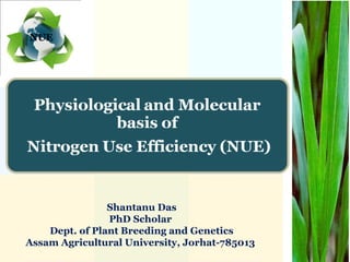 Shantanu Das
PhD Scholar
Dept. of Plant Breeding and Genetics
Assam Agricultural University, Jorhat-785013
NUE
 