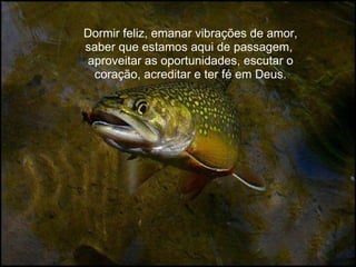 Dormir feliz, emanar vibrações de amor, saber que estamos aqui de passagem,  aproveitar as oportunidades, escutar o coração, acreditar e ter fé em Deus. 