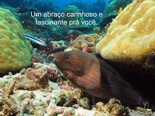 Um abraço carinhoso e fascinante prá você. 