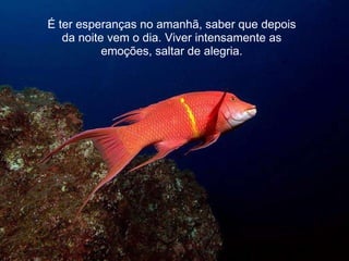 É ter esperanças no amanhã, saber que depois da noite vem o dia. Viver intensamente as emoções, saltar de alegria. 