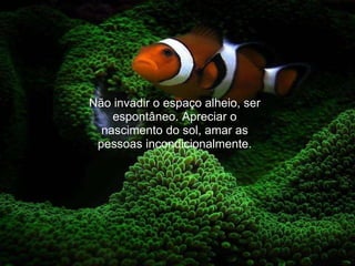 Não invadir o espaço alheio, ser espontâneo. Apreciar o nascimento do sol, amar as pessoas incondicionalmente. 