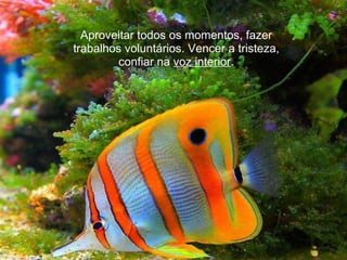 Aproveitar todos os momentos, fazer trabalhos voluntários. Vencer a tristeza, confiar na  voz interior . 