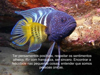 Ter pensamentos positivos, respeitar os sentimentos alheios. Rir com franqueza, ser sincero. Encontrar a felicidade nas pequenas coisas. entender que somos pessoas únicas.  