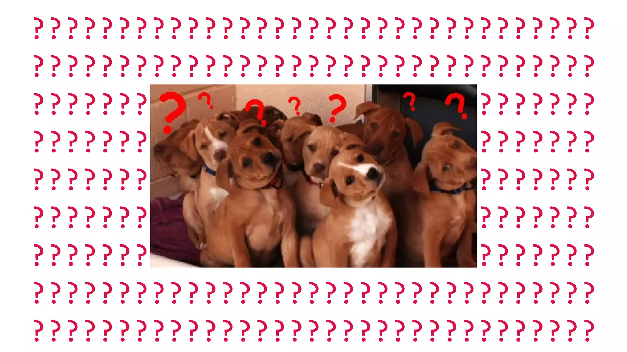 ?????????????????????????????????
?????????????????????????????????
?????????????????????????????????
?????????????????????????????????
?????????????????????????????????
?????????????????????????????????
?????????????????????????????????
?????????????????????????????????
?????????????????????????????????
 