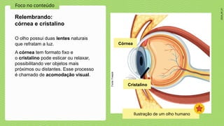 2024_AF_V1
Foco no conteúdo
O olho possui duas lentes naturais
que refratam a luz.
A córnea tem formato fixo e
o cristalino pode esticar ou relaxar,
possibilitando ver objetos mais
próximos ou distantes. Esse processo
é chamado de acomodação visual.
Relembrando:
córnea e cristalino
Córnea
Cristalino
Fonte:
Freepik
Ilustração de um olho humano
 