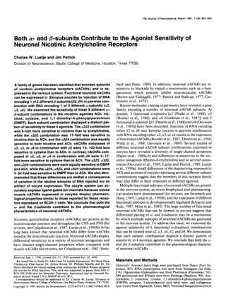 The Journal of Neuroscience, March 1991, 17(3): 837-845
Both CY-and ,&subunits Contribute to the Agonist Sensitivity of
Neuronal Nicotinic Acetylcholine Receptors
Charles W. Luetje and Jim Patrick
Division of Neuroscience, Baylor College of Medicine, Houston, Texas 77030
A family of genes has been identified that encodes subunits
of nicotinic acetylcholine receptors (nAChRs) and is ex-
pressed in the nervous system. Functional neuronal nAChRs
can be expressed in Xenopus oocytes by injection of RNA
encoding 1 of 2 different &subunits (/32,84) in pairwise com-
bination with RNA encoding 1 of 3 different a-subunits (a2,
(~3, a4). We examined the sensitivity of these 6 different a-
B-subunit combinations to the nicotinic agonists ACh, nic-
otine, cytisine, and 1,l -dimethyl-4-phenylpiperazinium
(DMPP). Each subunit combination displayed a distinct pat-
tern of sensitivity to these 4 agonists. The a2B2 combination
was B-fold more sensitive to nicotine than to acetylcholine,
while the a382 combination was 17-fold less sensitive to
nicotine than to ACh, and the a384 combination was equally
sensitive to both nicotine and ACh. nAChRs composed of
~2, a3, or a4 in combination with /32 were 14-lOO-fold less
sensitive to cytisine than to ACh. In contrast, nAChRs com-
posed of a2, a3, or a4 in combination with /34 were 3-17-
fold more sensitive to cytisine than to ACh. The a2B2, a3/32,
and a384 combinations were each equally sensitive to DMPP
and ACh, while the a2/34, a4/32, and a484 combinations were
4-24-fold less sensitive to DMPP than to ACh. We also dem-
onstrated that these differences are neither a consequence
of variation in the relative amounts of RNA injected nor an
artifact of oocyte expression. The oocyte system can ac-
curately express ligand-gated ion channels because mouse
muscle nAChRs expressed in oocytes display pharmaco-
logical properties similar to those reported for these recep-
tors expressed on BC3H-1 cells. We conclude that both the
a- and the &subunits contribute to the pharmacological
characteristics of neuronal nAChRs.
Nicotinic acetylcholine receptors(nAChRs) are presentat the
neuromuscularjunction and throughout the CNS andPNS (for
reviews,seeColquhounet al., 1987;Luetje etal., 1990b).It has
long beenknown that neuronal nAChRs differ from nAChRs
foundat theneuromuscularjunction. NeuronalnAChRsdisplay
differential sensitivity to a variety of nicotinic antagonistsand
have distinct single-channelproperties when compared with
musclenAChRs (for reviews,seeColquhounet al., 1987;Stein-
Received Aug. 1, 1990; revised Oct. 25, 1990; accepted Oct. 29, 1990.
We would like to thank Dr. John Dani for helpful discussions. We thank Dane
Chetkovich, Elise Lamar, Dr. Arthur Brown, Dr. Philippe %gu&la, and Dr. Joe
Henry Steinbach for critical reading of the manuscript. Kathleen Whalen prepared
the oocytes for RNA injection. This work was supported by grants from NIH (2
ROl NS13546) and the Muscular Dystrophy Association and by National Re-
search Service Award I F32 MH09749 to C.W.L.
Correspondence should be addressed to Dr. Charles W. Luetje, Division of
Neuroscience, Baylor College of Medicine, One Baylor Plaza, Houston, TX 77030.
Copyright 0 1991 Society for Neuroscience 0270-6474/91/l 10837-09$03.00/O
bath and Ifune, 1989).In addition, neuronal nAChRs are in-
sensitiveto blockadeby elapid a-neurotoxins, suchasa-bun-
garotoxin, which potently inhibit neuromuscular nAChRs
(Brown and Fumagalli, 1977;Patrick and Stallcup, 1977;Car-
bonetto et al., 1978).
Recent molecularcloning experimentshave revealeda gene
family encoding a number of neuronal nAChR subunits.At
present, 3 functional a-subunits [a2 (Wada et al., 1988) a3
(Boulter et al., 1986) and a4 (Goldman et al., 1987)j and 2
functional P-subunits[@2(Denerisetal., 1988)and/34(Duvoisin
et al., 1989)]have beendescribed.Injection of RNA encoding
either p2 or /34into Xenopus oocytesin pairwisecombination
with RNA encodingeithera2, a3,or a4resultsin theexpression
of functional nAChRs (Boulter et al., 1987;Denerisetal., 1988;
Wada et al., 1988; Duvoisin et al., 1989). Several studiesof
different neuronal nAChR subunit combinations expressedin
oocytes have revealed a diversity of single-channelproperties
(Papkeet al., 1989a,b)anddifferencesin sensitivity to the nic-
otinic antagonistdihydro-@-erythroidine and to severalneuro-
toxins (Duvoisin et al., 1989;Luetje and Patrick, 1989;Luetje
et al., 1990a).Smalldifferencesin thedepolarizingresponsesto
ACh andnicotine of oocytesexpressingseveraldifferent subunit
combinationssuggestthat the membersof this receptorfamily
may alsodiffer in their responsesto different agonists.
Multiple functional subtypesof neuronalnAChRsarepresent
in the nervous system,asrecentbiophysicalandpharmacolog-
ical studieshave demonstrated(for reviews,seeSteinbachand
Ifune, 1989;Luetjeet al., 1990b),andtheexpressionofdifferent
functional subtypesisdevelopmentally regulated(Schuetzeand
Role, 1987;Mosset al., 1989).The largenumberof functional
neuronal nAChRs that can be formed in oocytessuggeststhat
differential pairing of a- and P-subunitsmay be a mechanism
by which multiple subtypesof neuronalnAChRs aregenerated
in the nervoussystem.To addressthis issue,weexaminedthe
agonist sensitivity of 6 functional a-&subunit combinations
that canbeformedwith (~2,(~3,a4,02, and@4.We demonstrate
that each subunit combination displays a distinct pattern of
sensitivity to 4 nicotinic agonists.We concludethat both thea-
and theP-subunitscontribute to the pharmacologicalcharacter
of neuronalnAChRs.
Materials and Methods
Materials. Xenopus laevis frogs were purchased from Nasco (Fort At-
kinson, WI). RNA transcription kits were from Stratagene (La Jolla,
CA). Diguanosine triphosphate was from Pharmacia (Piscataway, NJ).
SP6 polymerase and RNasin were from Promega (Madison, WI). Ace-
tylcholine, (-)-nicotine, cytisine, I,1 -dimethyl-4-phenylpiperazinium
(DMPP), atropine, 3-aminobenzoic acid ethyl ester, and collagenase
type I were from Sigma (St. Louis, MO). Neuronal bungarotoxin (toxin
 