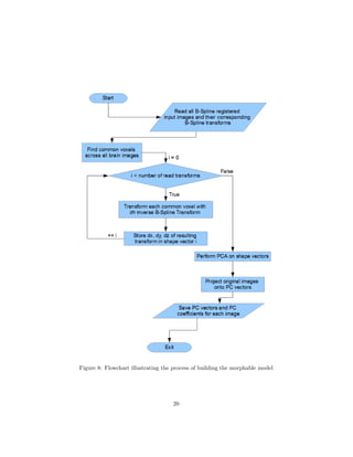Figure 8: Flowchart illustrating the process of building the morphable model
20
 