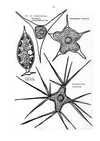 39
Copyright ОАО «ЦКБ «БИБКОМ» & ООО «Aгентство Kнига-Cервис»
 