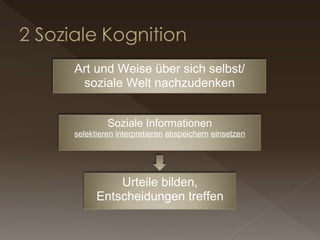 Art und Weise über sich selbst/ soziale Welt nachzudenken Urteile bilden, Entscheidungen treffen Soziale Informationen selektieren   interpretieren   abspeichern   einsetzen 