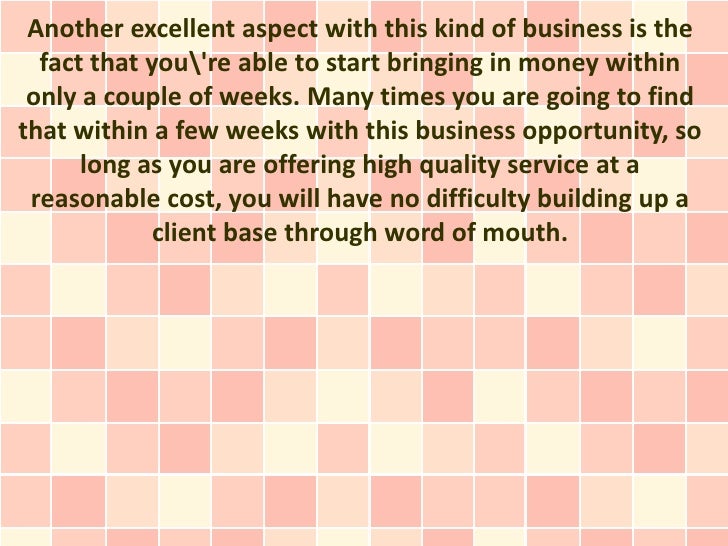another word for cleaning service