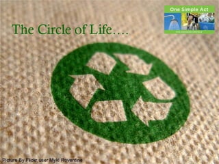 The Circle of Life….
Picture By Flickr user Mykl Roventine
The Circle of Life….
Picture By Flickr user Mykl Roventine
 