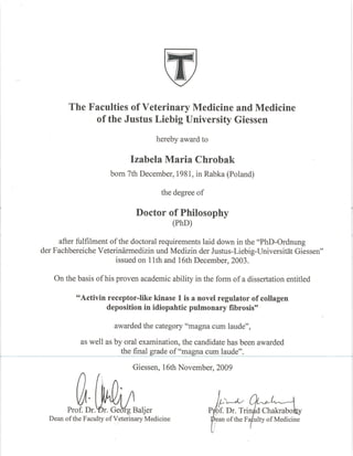 PhD Diploma