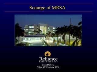 Scourge of MRSA
Divya Mathew
Friday, 21st
February 2014
 