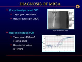 131313
DIAGNOSIS OF MRSA
 Conventional gel based PCR
 Target gene: mecA-femB
 Requires culturing of MRSA
 Real time multiplex PCR
 Target gene: SCCmecA
genomic island
 Detection from direct
specimens
www.indmedica.com
 