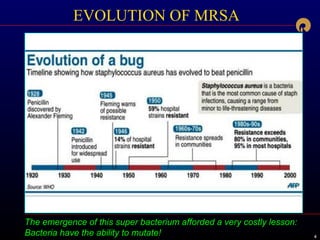 444
The emergence of this super bacterium afforded a very costly lesson:
Bacteria have the ability to mutate!
EVOLUTION OF MRSA
 
