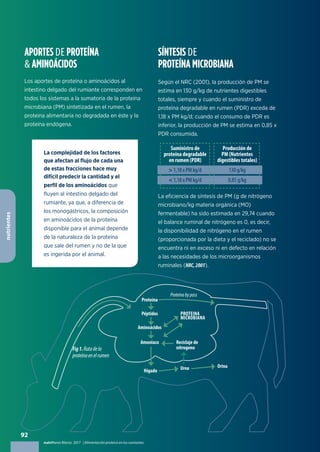 92
nutriNews Marzo 2017 | Alimentación proteica en los rumiantes
nutrientes
APORTES DE PROTEÍNA
& AMINOÁCIDOS
Los aportes de proteína o aminoácidos al
intestino delgado del rumiante corresponden en
todos los sistemas a la sumatoria de la proteína
microbiana (PM) sintetizada en el rumen, la
proteína alimentaria no degradada en éste y la
proteína endógena.
SÍNTESIS DE
PROTEÍNA MICROBIANA
Proteína
Proteínabypass
Péptidos PROTEINA
MICROBIANA
Aminoácidos
Amoniaco
Hígado Urea Orina
Reciclaje de
nitrogeno
La complejidad de los factores
que afectan al flujo de cada una
de estas fracciones hace muy
difícil predecir la cantidad y el
perfil de los aminoácidos que
fluyen al intestino delgado del
rumiante, ya que, a diferencia de
los monogástricos, la composición
en aminoácidos de la proteína
disponible para el animal depende
de la naturaleza de la proteína
que sale del rumen y no de la que
es ingerida por el animal.
Según el NRC (2001), la producción de PM se
estima en 130 g/kg de nutrientes digestibles
totales, siempre y cuando el suministro de
proteína degradable en rumen (PDR) exceda de
1,18 x PM kg/d; cuando el consumo de PDR es
inferior, la producción de PM se estima en 0,85 x
PDR consumida.
La eficiencia de síntesis de PM (g de nitrógeno
microbiano/kg materia orgánica (MO)
fermentable) ha sido estimada en 29,74 cuando
el balance ruminal de nitrógeno es 0, es decir,
la disponibilidad de nitrógeno en el rumen
(proporcionada por la dieta y el reciclado) no se
encuentra ni en exceso ni en defecto en relación
a las necesidades de los microorganismos
ruminales (NRC,2001).
Suministro de
proteína degradable
en rumen (PDR)
Producción de
PM (Nutrientes
digestibles totales)
> 1,18 x PM kg/d 130 g/kg
< 1,18 x PM kg/d 0,85 g/kg
Fig1.Rutadela
proteínaenelrumen
 