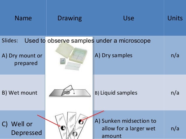 How to preserve a specimen using formalin image