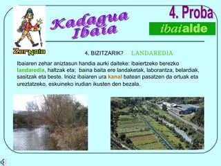4.  BIZITZARIK ?  LANDAREDIA 4. Proba Ibaiaren zehar aniztasun handia aurki daiteke: ibaiertzeko berezko  landaredia , haltzak eta;  baina baita ere landaketak, laborantza, belardiak, sasitzak eta beste. Inoiz ibaiaren ura  kanal  batean pasatzen da ortuak eta ureztatzeko, eskuineko irudian ikusten den bezala.   Kadagua Ibaia 