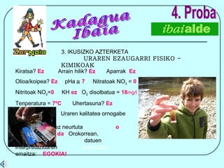 4. Proba 3. IKUSIZKO AZTERKETA  URAREN EZAUGARRI FISIKO - KIMIKOAK Kiratsa?  Ez   Arrain hilik?  Ez   Aparrak  Ez Olioa/koipea?  Ez   pHa     7   Nitratoak NO 3  =  0 Nitritoak NO 2 = 0  KH  ez   O 2  disolbatua =  18 mg/l Tenperatura =  7ºC   Uhertasuna?  Ez Uraren kalitatea ornogabe  b   bentonikoen bidez   neurtuta  o  oso ona da  Orokorrean,  d  datuen interpretazioaren  zzzzzzzzz  emaitza:  EGOKIA! Kadagua Ibaia 