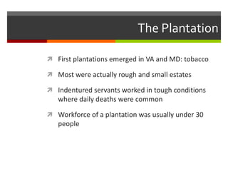The Plantation
 First plantations emerged in VA and MD: tobacco
 Most were actually rough and small estates
 Indentured servants worked in tough conditions
where daily deaths were common
 Workforce of a plantation was usually under 30
people
 