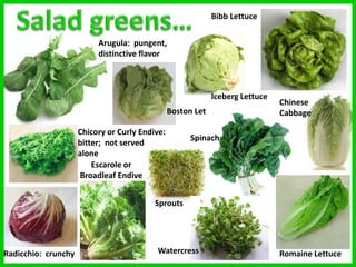 Arugula: pungent,
distinctive flavor
Bibb Lettuce
Boston Lettuce
Chicory or Curly Endive:
bitter; not served
alone
Escarole or
Broadleaf Endive
Iceberg Lettuce
Radicchio: crunchy Romaine Lettuce
Spinach
Sprouts
Chinese
Cabbage
Watercress
 