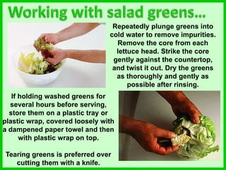 Repeatedly plunge greens into
cold water to remove impurities.
Remove the core from each
lettuce head. Strike the core
gently against the countertop,
and twist it out. Dry the greens
as thoroughly and gently as
possible after rinsing.
If holding washed greens for
several hours before serving,
store them on a plastic tray or
plastic wrap, covered loosely with
a dampened paper towel and then
with plastic wrap on top.
Tearing greens is preferred over
cutting them with a knife.
 