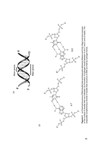 Systems Biology And Synthetic Biology Pengcheng Fu Sven Panke | PDF