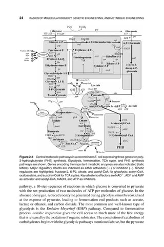 Systems Biology And Synthetic Biology Pengcheng Fu Sven Panke | PDF