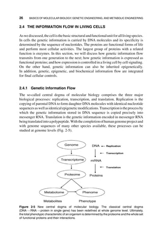 Systems Biology And Synthetic Biology Pengcheng Fu Sven Panke | PDF