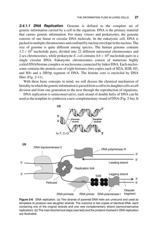 Systems Biology And Synthetic Biology Pengcheng Fu Sven Panke | PDF