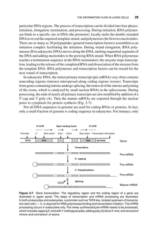 Systems Biology And Synthetic Biology Pengcheng Fu Sven Panke | PDF