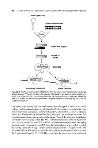 Systems Biology And Synthetic Biology Pengcheng Fu Sven Panke | PDF