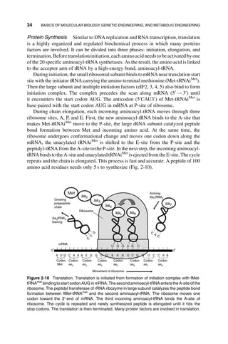 Systems Biology And Synthetic Biology Pengcheng Fu Sven Panke | PDF