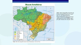IBGE. Atlas Geográfico Escolar do
Ensino Fundamental do 6º ao 9º
ano. p. 18. Disponível em:
https://biblioteca.ibge.gov.br/vis
ualizacao/livros/liv100880_cap1_
pt1.pdf. Acesso em: 28 jan. 2021.
 