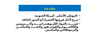 ‫مقدمة‬
•
‫األصلى‬ ‫الموطن‬
. :
‫الجنوبية‬ ‫أمريكا‬
•
‫الجافة‬ ‫البذور‬ ‫أو‬ ‫الخضراء‬ ‫قرونها‬ ‫ألجل‬ ‫تزرع‬
•
‫بروتين‬ ‫وال‬ ‫ه‬ ‫الكربوهيدراتي‬ ‫بالمواد‬ ‫ه‬ ‫غني‬
‫ن‬ ‫والثيامي‬ ‫د‬ ‫والحدي‬ ‫فور‬ ‫والفوس‬ ‫يوم‬ ‫والكالس‬
.‫والنياسين‬ ‫والريبوفالفين‬
 