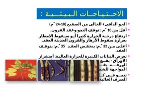 : ‫الـبـيـئـــيـة‬ ‫االحــتـيـاجــات‬
•
‫الخ‬ ‫الدافىء‬ ‫الجو‬
‫ا‬
‫الصقيع‬ ‫من‬ ‫لى‬
(
18
-
24
)‫ﹾم‬
•
‫من‬ ‫أقل‬
10
. :
‫القرون‬ ‫وعقد‬ ‫النمو‬ ‫توقف‬ ‫ﹾم‬
•
‫ا‬
‫االمطار‬ ‫قوط‬ ‫س‬ ‫و‬ ‫أ‬ ‫كثيرا‬ ‫الحرارة‬ ‫ة‬ ‫درج‬ ‫رتفاع‬
‫بغزارة‬
:
‫سقوط‬
‫األزهار‬
‫العقد‬ ‫الحديثة‬ ‫والقرون‬
.
•
‫ن‬ ‫م‬ ‫ى‬ ‫أعل‬
32
:
‫د‬ ‫العق‬ ‫ض‬ ‫ينخف‬ ‫م‬ ‫ﹾ‬
35
:
‫ف‬ ‫يتوق‬ ‫م‬ ‫ﹾ‬
.‫العقد‬
•
‫ة‬ ‫العالي‬ ‫للحرارة‬ ‫بيرة‬ ‫الك‬ ‫النباتات‬ ‫تعرض‬
:
‫فرار‬ ‫أص‬
‫األوراق‬
-
‫ى‬ ‫ف‬ ‫العروق‬ ‫ن‬ ‫بي‬ ‫غيرة‬ ‫ص‬ ‫ة‬ ‫بني‬ ‫ع‬ ‫بق‬
‫ة‬ ‫الورق‬
-
‫القرون‬ ‫طح‬ ‫س‬ ‫ى‬ ‫عل‬ ‫حمراء‬ ‫ع‬ ‫بق‬
.‫للشمس‬ ‫المواجهة‬
•
‫جيدة‬ ‫ل‬ ‫ويفض‬ ‫ي‬ ‫األراض‬ ‫أنواع‬ ‫ل‬ ‫ك‬ ‫ى‬ ‫ف‬ ‫و‬ ‫تنم‬
.‫الملوحه‬ ‫من‬ ‫الخالية‬ ‫الصرف‬
 